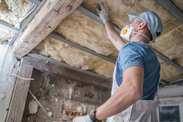 Best DIY Insulation Kits and Guidance in Wayne City, IL